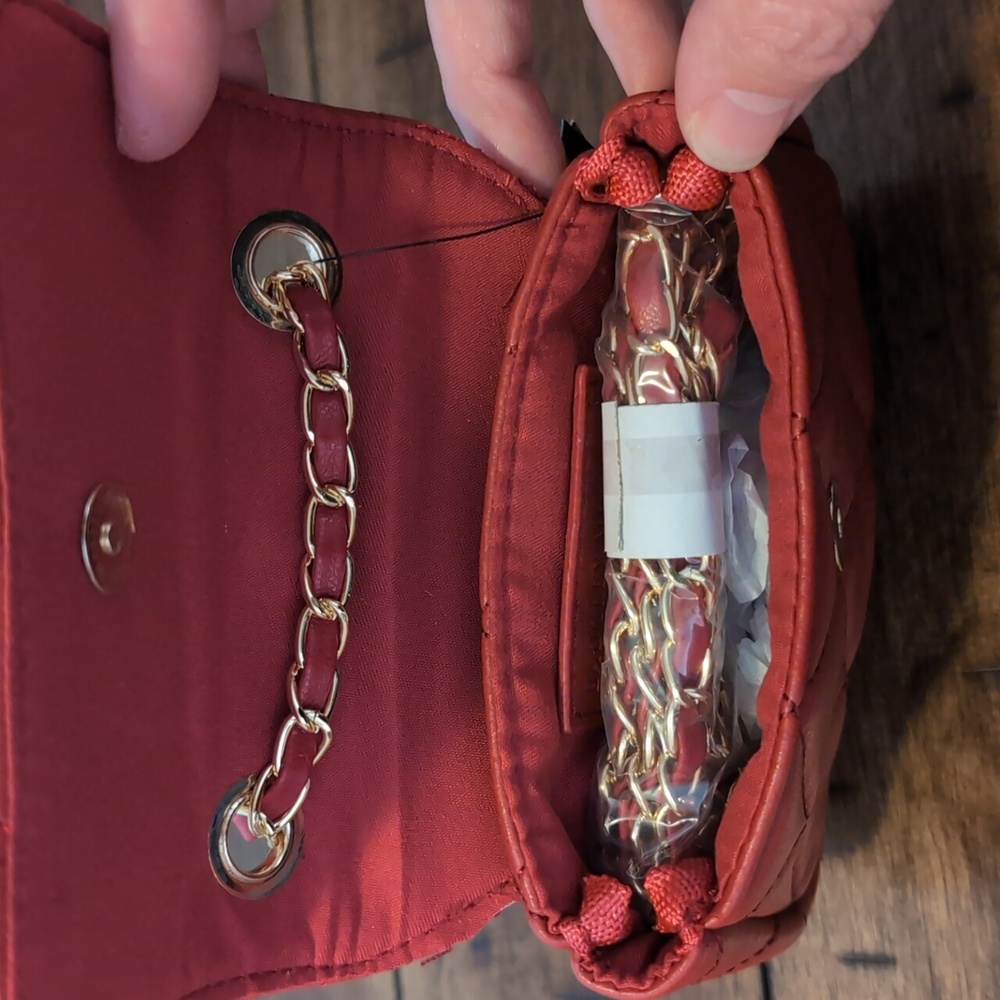 Badgley Mischka mini purse
